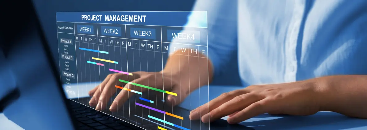 projectManagement